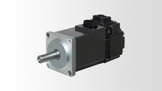 Rotary Servo Motor