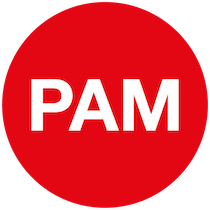 PAM ( Pulse Amplitude Modulation)